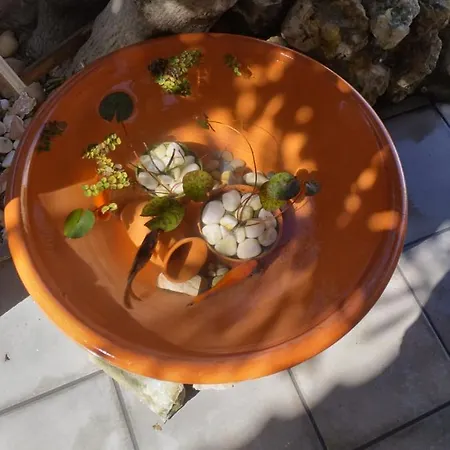 بيت للعطل O Cantinho Do Sol لورينها